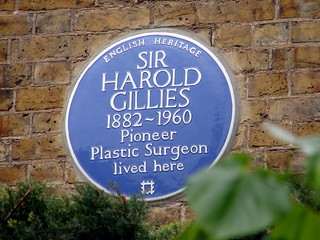 Sir Harold Gillies by Simon Harriyott, on Flickr Sir Harold Gillies