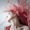 face-neck-shoulders-pink-hair-64